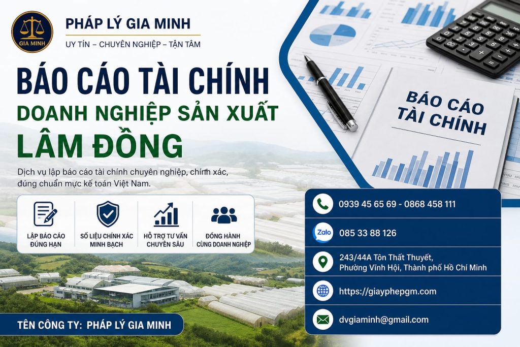 Báo cáo tài chính doanh nghiệp sản xuất Lâm Đồng