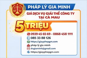 dịch vụ giải thể công ty tại cà mau