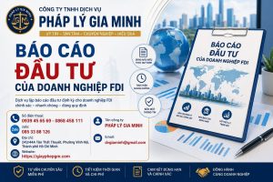 Báo Cáo Đầu Tư Của Doanh Nghiệp FDI