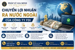 Chuyển Lợi Nhuận Ra Nước Ngoài Của Công Ty FDI
