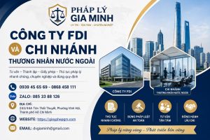 Công Ty FDI Và Chi Nhánh Thương Nhân Nước Ngoài