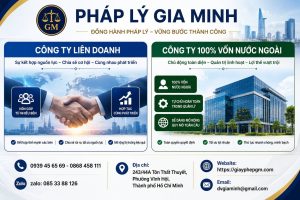 Công Ty Liên Doanh Và Công Ty 100% Vốn Nước Ngoài